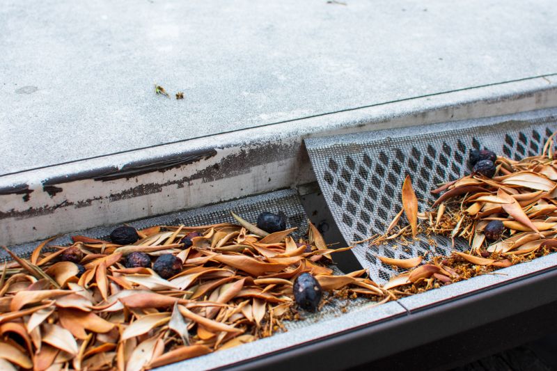 Common Gutter Cover Problems And How Repairs Fix Them