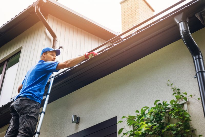 Gutter Service