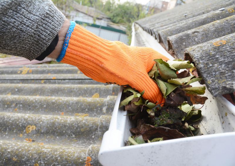 Gutter Service