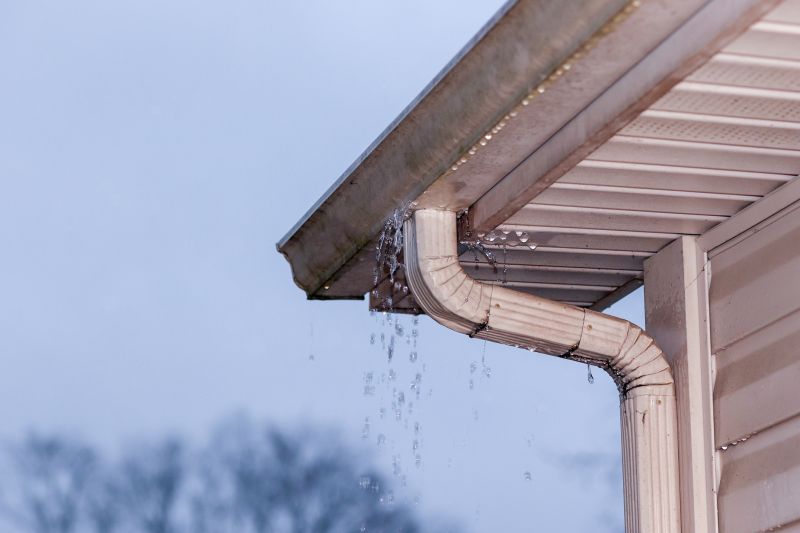 Gutter Service
