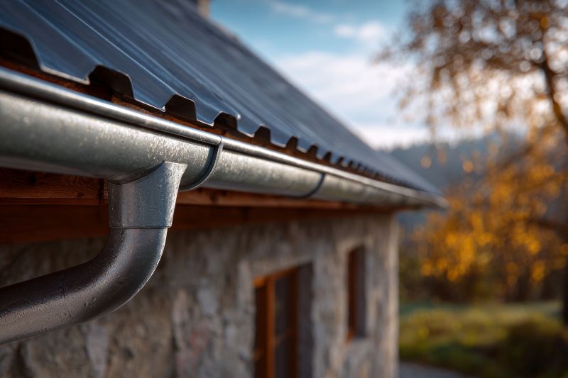 Seamless Metal Gutters Installation