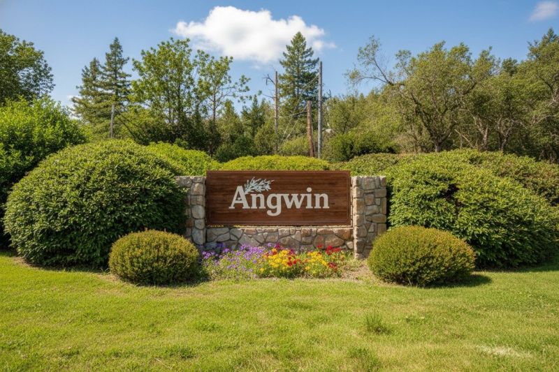Commercial Copper Gutters Repair Angwin Ca